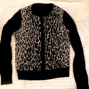 Ann Taylor sweater